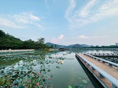 -顺峰山公园