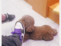 -DQ·蛋糕·冰淇淋(万风新天地店)