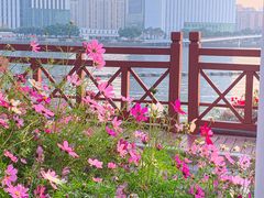 -海心沙亚运公园