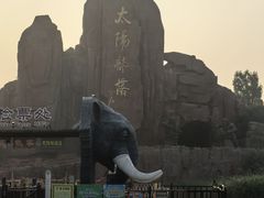 -太阳部落