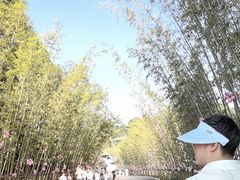 -婺源月亮湾