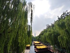 -环城公园