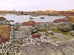 -浪琴湾度假村