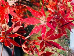 -浙东革命根据地纪念馆