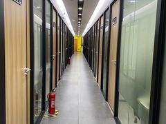-秦小阳手办店