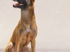 -富邦华一银行(新天地支行)