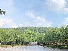 -武汉大学老图书馆