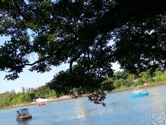-西湖公园(鼓楼区)