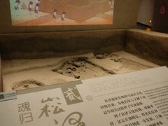 -上海崧泽遗址博物馆