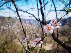 -周口店坡峰岭风景区