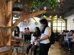 大堂-共舞时光猫咖·狗咖(新街口店)