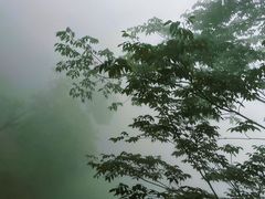 -少华山国家森林公园