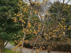 -南通濠河风景名胜区