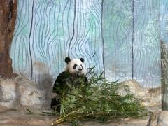 -海南热带野生动植物园