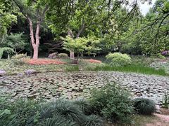 -杭州植物园