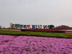 -西海岸生态观光园