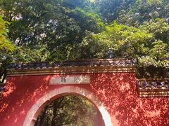 -灵谷景区
