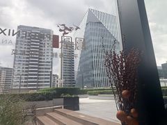 -凤凰湘语(浦东旗舰店)