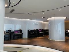 -雅马哈乐器专卖店(广州旗舰店)