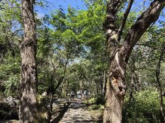 -玉渡山自然风景区