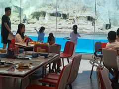 -帝企鹅自助餐厅•儿童岛•真企鹅(长隆企鹅酒店)
