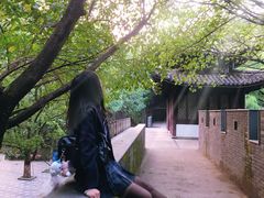 -峙山公园