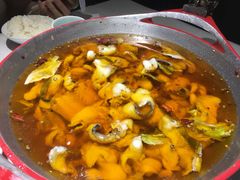 -雲蜀龙阁·金牌水煮鱼(方庄店)