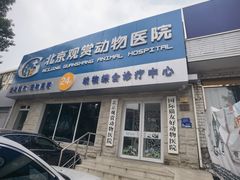 -北京观赏动物医院·24小时大型综合·猫专科·异宠专科