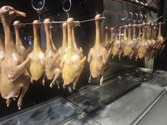 -三强鸽子(中原路店)