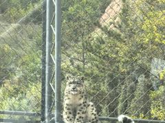 -青藏高原野生动物园