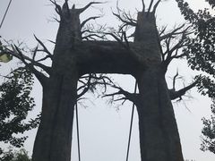 -西青郊野公园