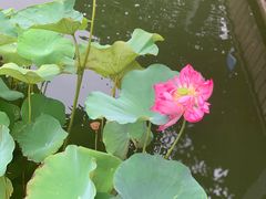 -长阳创谷