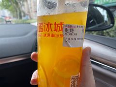-蜜雪冰城(万达广场外B号门门口外集装箱店)