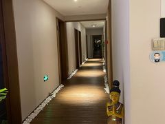 -OMSPA(盛景尚峰店)