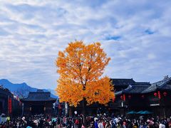 -荣家小吃(紫阳街店)