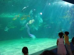 -常州海昌海洋探索馆