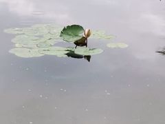 -上海中医药大学附属曙光医院(东部)