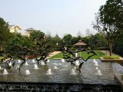 android_upload_pic-昆明洲际酒店