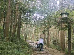 -冶父山国家森林公园