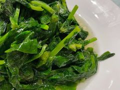 清炒豆苗-太湖饭店·寄畅轩中餐厅