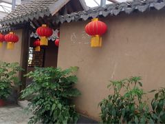 -上海都市菜园