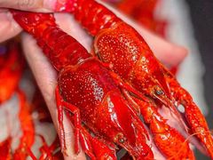 -龙巢盱眙龙虾·牛蛙·烧烤宵夜(八卦岭店)