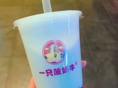 -一只酸奶牛(八一路店)