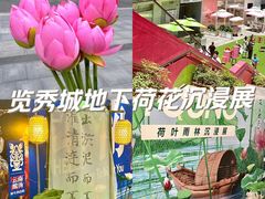 -金茂览秀城