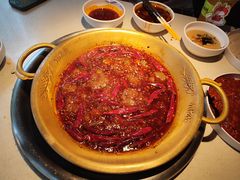 -小龙坎火锅(全球旗舰店)