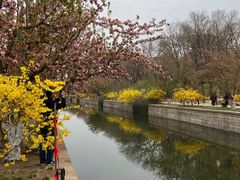 -元大都城垣遗址公园