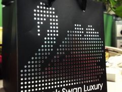 -BLACKSWAN黑天鹅(环球店)