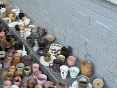 -陶野咖啡·面包披萨