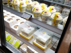 -皇冠幸福里动物奶油生日蛋糕(万达店)