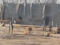 -秦皇岛野生动物园